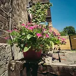 An Der Wassermuehle Quedlinburg